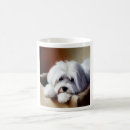 Search for coton de tulear gifts Portrait