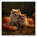 Search for pomeranian puppy posters Animal