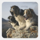 Search for watch dog stickers Horizontal