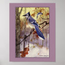 Search for bluejays posters Wildlife