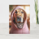 Search for hoodie postcards Kitten