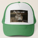 Search for hamster gifts Cute