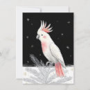 Search for cockatoo christmas cards Cockatiel