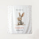 Search for rabbits photography For kids