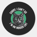 Search for kitts stickers Cat