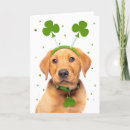Search for headband cards Puppy