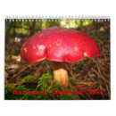 Search for mushroom calendars Moss