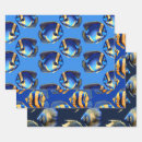 Search for sea creatures wrapping paper Coral reef