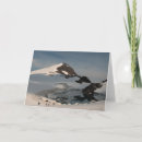 Search for science gifts Geology