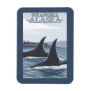 Search for wrangell magnets Lantern