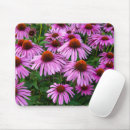 Search for coneflower mouse mats Pink