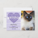 Search for cat adoption invitations Hearts