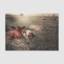 Search for cow print tissue paper Rustic