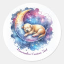 Search for sleeping on the moon stickers Whimsical