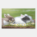Search for baby bunny stickers Animal