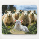 Search for flocking mouse mats Lamb