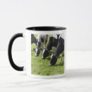 Search for grazing cows mugs Outdoors