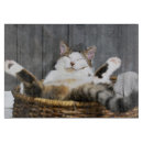 Search for funny chopping boards Kitten