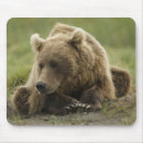 Search for ursus mouse mats Nature