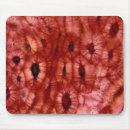 Search for life sciences mouse mats Botany