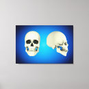 Search for eye socket Human jaw bone