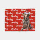 Search for chocolate lab blankets Labs