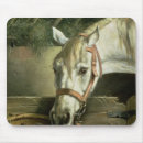 Search for stable mouse mats Barn