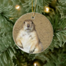 Search for prairie dog christmas tree decorations Cute