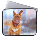Search for mastiffs electronics Pet