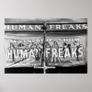 Search for freak show posters Sideshow