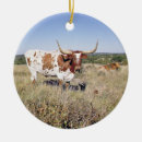 Search for texas longhorn christmas tree decorations Canada