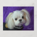 Search for dog note invitations Cute