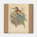 Search for eater magnets Bird