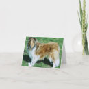 Search for rough collie cards Lassie