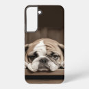 Search for pet samsung cases Animal