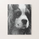 Search for cavalier king charles spaniel puzzles Dogs