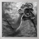 Search for balck posters Balck and white