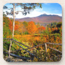 Search for new hampshire coasters Fall