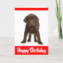 Search for chocolate lab birthday cards Retriever