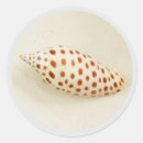 Search for beach shell stickers Tropical