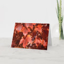 Search for autumn tree birthday cards Red