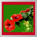 Search for hibiscus posters Floral