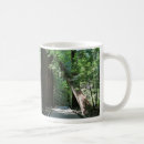 Search for muir woods mugs Forest