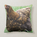Search for hen cushions Poultry