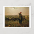 Search for flock of sheep postcards Farm animals