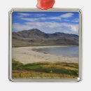 Search for salt christmas tree decorations Nature