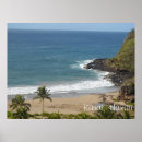 Search for kauai posters Beaches