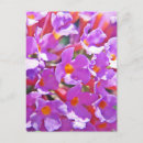 Search for little flowers postcards Floral