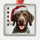 Search for pointer dog christmas tree decorations Santa