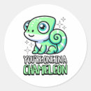 Search for cute chameleon stickers Funny